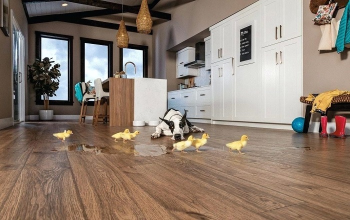 Sàn gỗ Pergo được ứng dụng để lót sàn của rất nhiều công trình kiến trúc