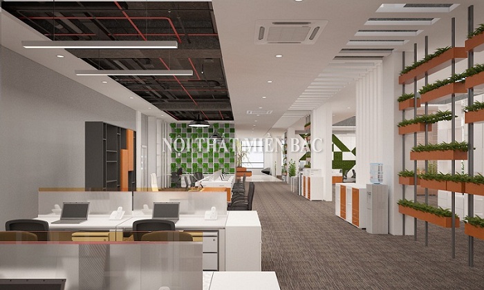 Thiết kế văn phòng cao cấp với không gian làm việc xanh đầy cảm hứng - H1