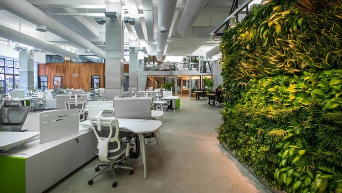 Một văn phòng xanh sẽ mang đến sự trong lành, tươi mát giúp giảm stress